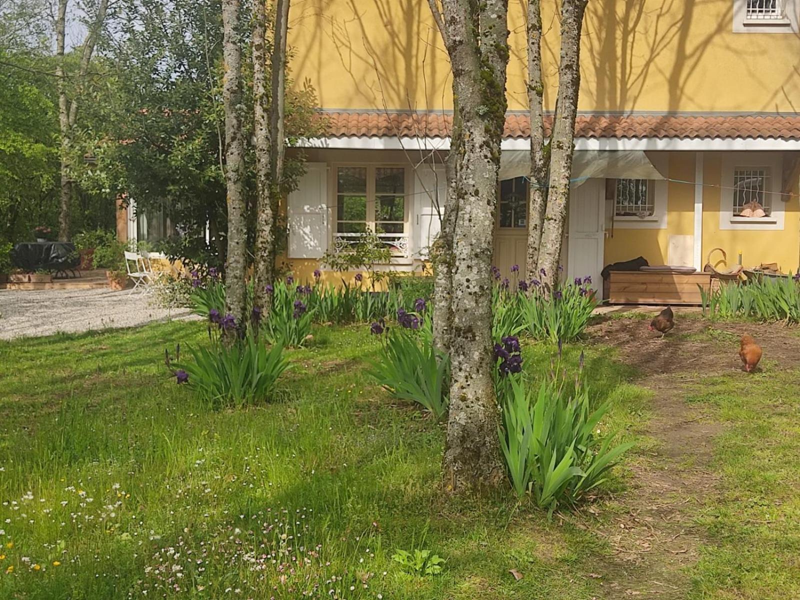 Bed and Breakfast La Frenaie Saint-Cyr-sur-le-Rhone Exteriér fotografie